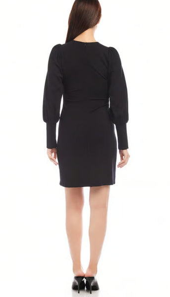 Bishop Sleeve Dress