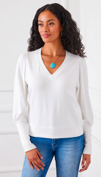 V Neck Bishop Sleeve Top