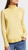 Long Sleeve Turtle Neck Sweater