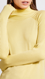 Long Sleeve Turtle Neck Sweater