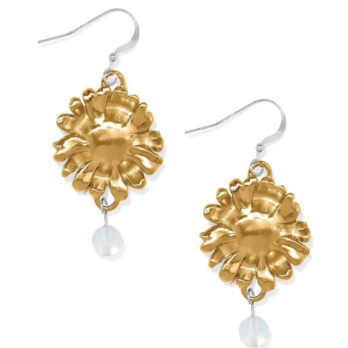 Daisy Dee Gold French Wire Earrings