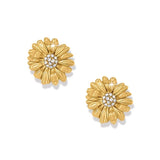 Daisy Dee Gold Post earrings