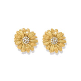 Daisy Dee Gold Post earrings