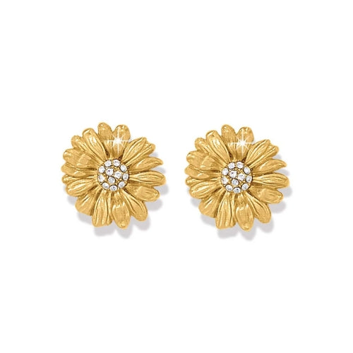 Daisy Dee Gold Post earrings