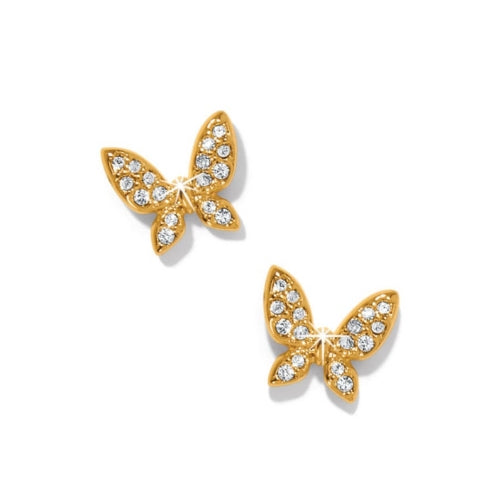 Enchanting Butterfly Gold Post Earrings