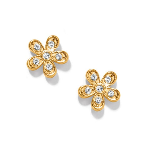 Enchanting Butterfly Gold Post Earrings