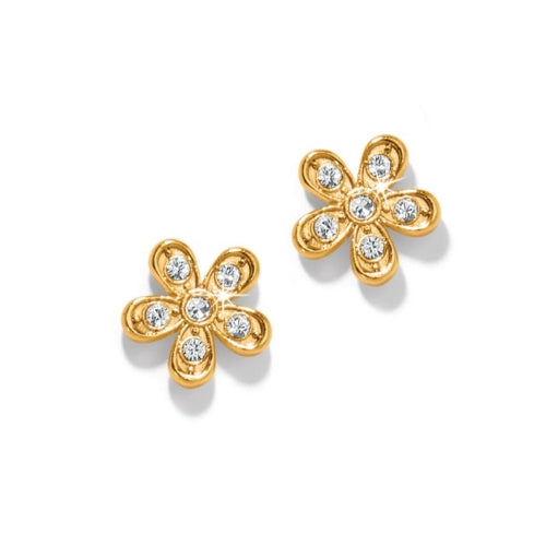 Enchanting Flower Gold Post Earrings