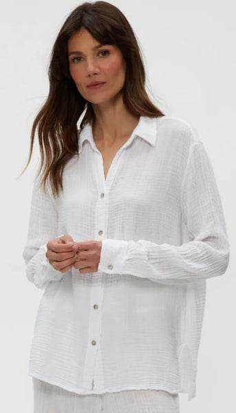 Leo Button Down