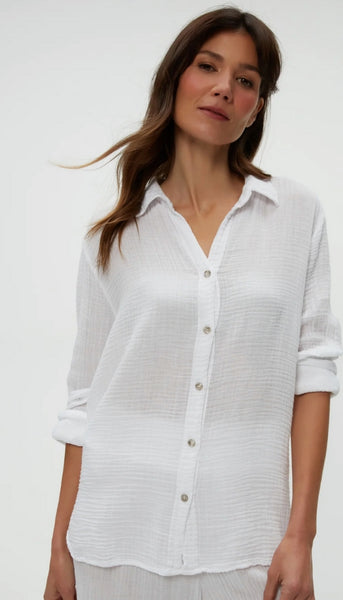 Leo Button Down