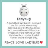 Small Pendant Ladybug - Silver