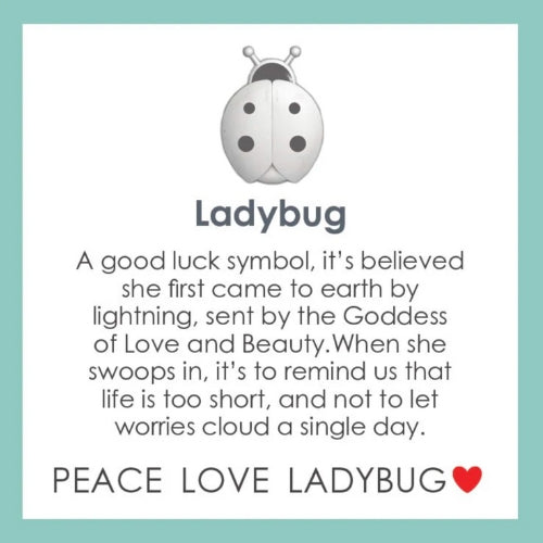 Small Pendant Ladybug - Silver