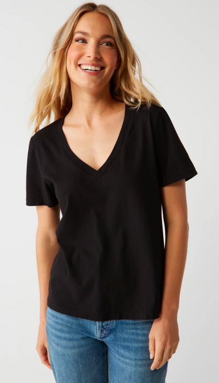 V Neck Bishop Sleeve Top